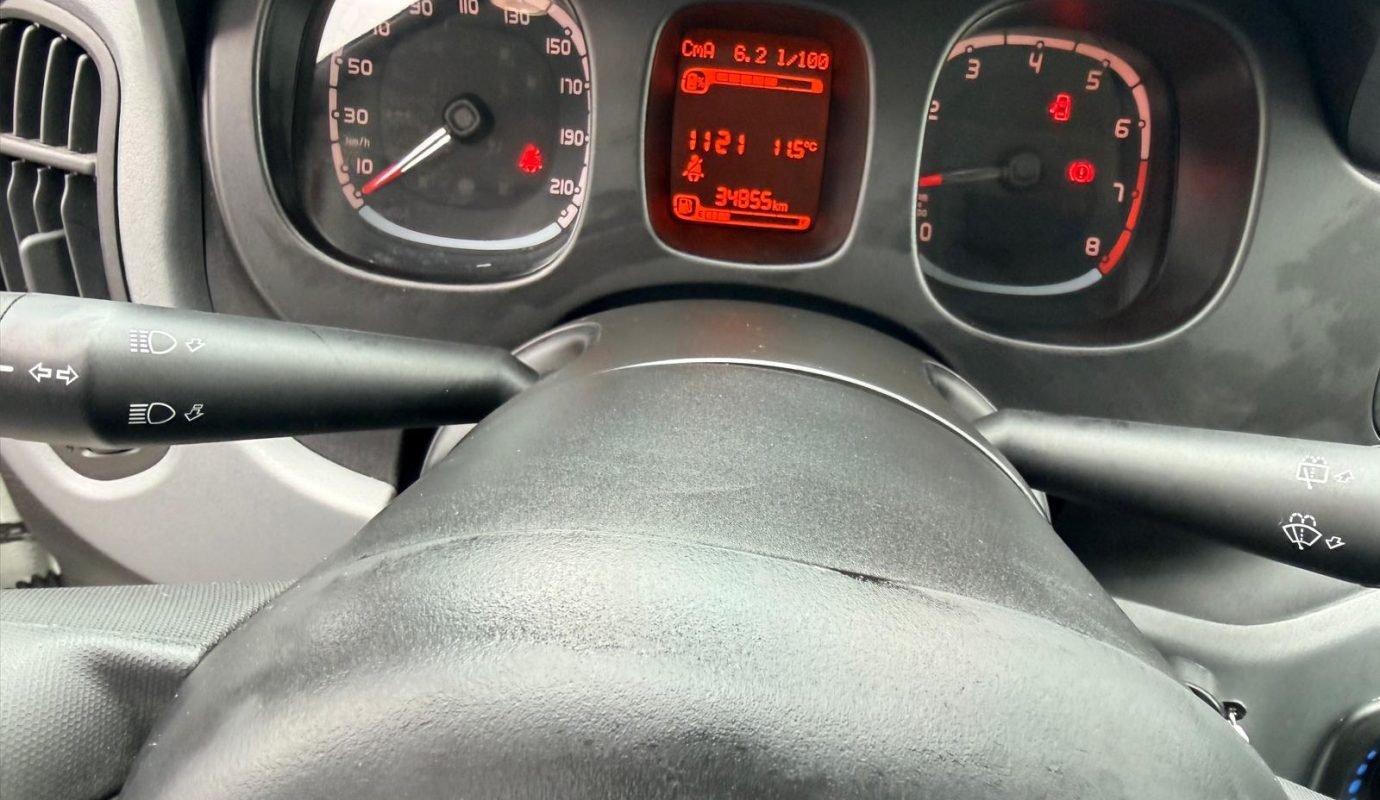 2020 Panda Ibrida Cross