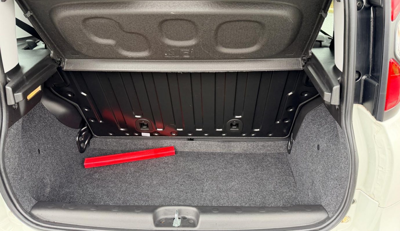 2020 Panda Ibrida Cross