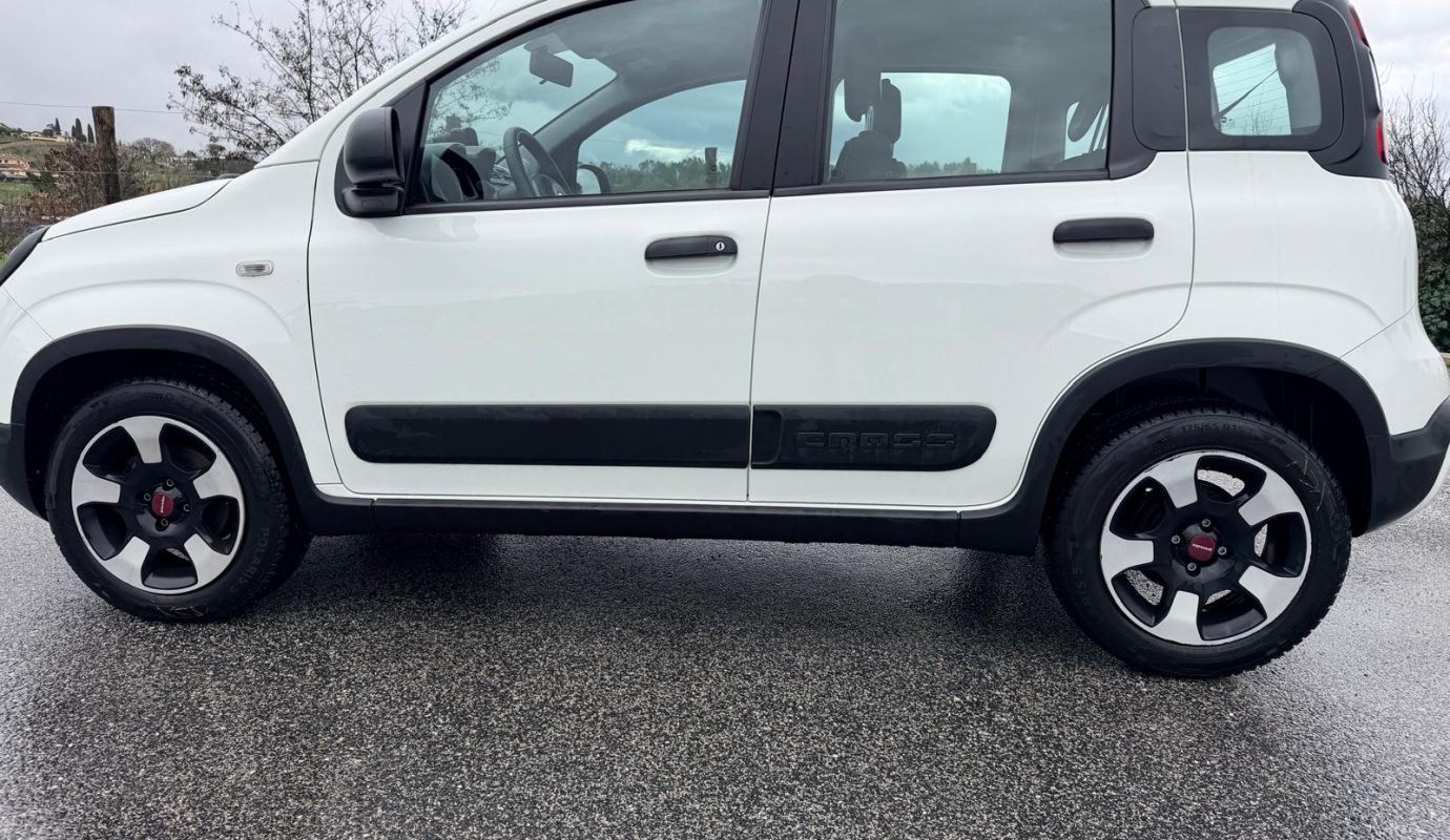 2020 Panda Ibrida Cross