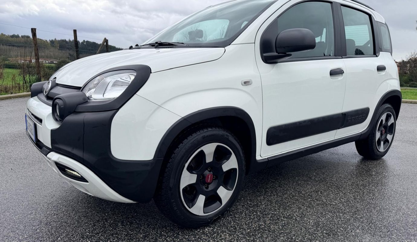 2020 Panda Ibrida Cross