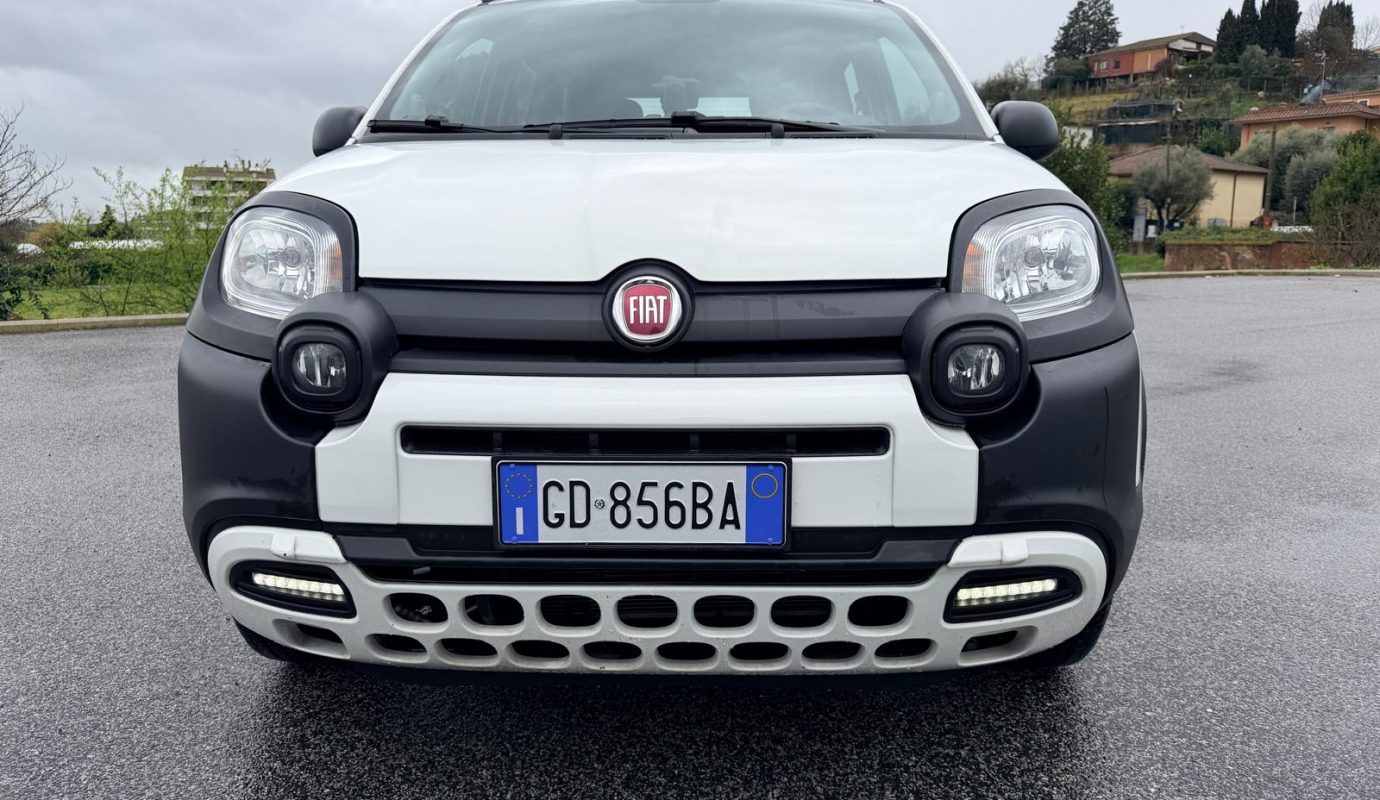 2020 Panda Ibrida Cross