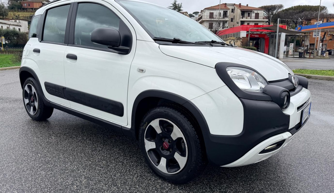 2020 Panda Ibrida Cross