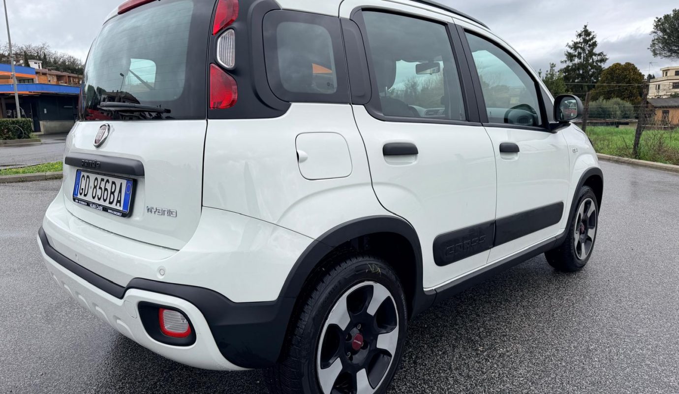 2020 Panda Ibrida Cross