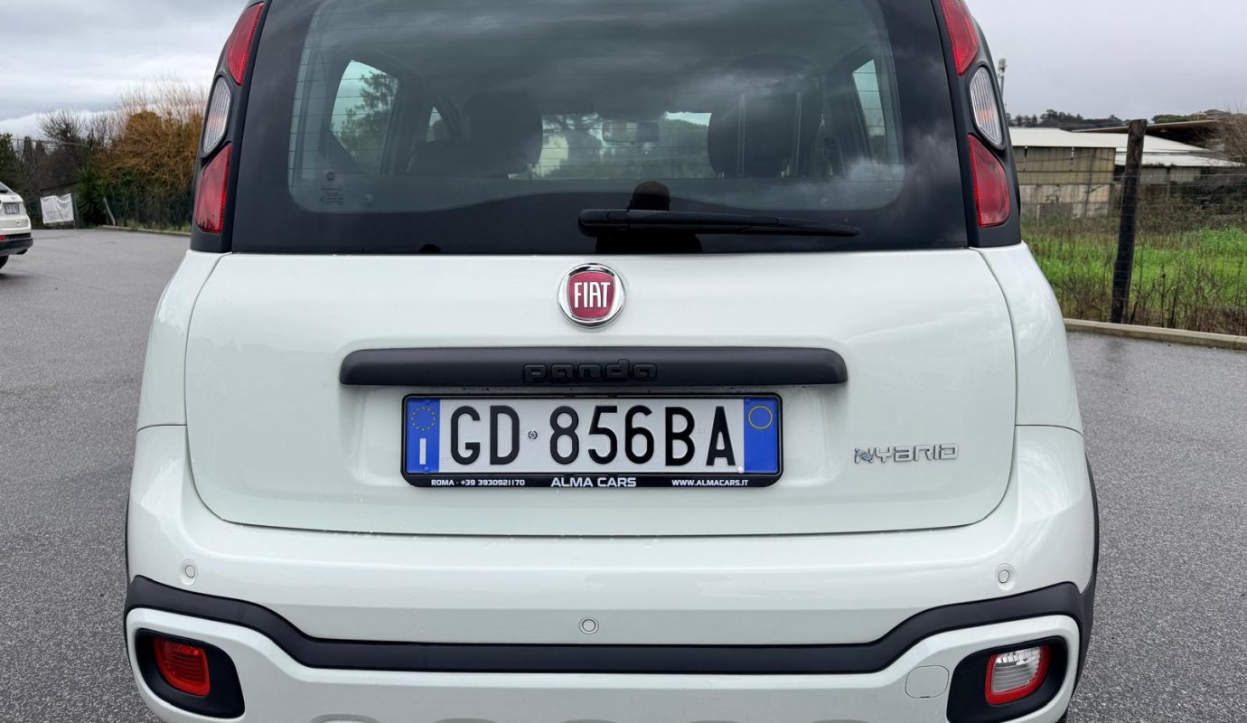 2020 Panda Ibrida Cross