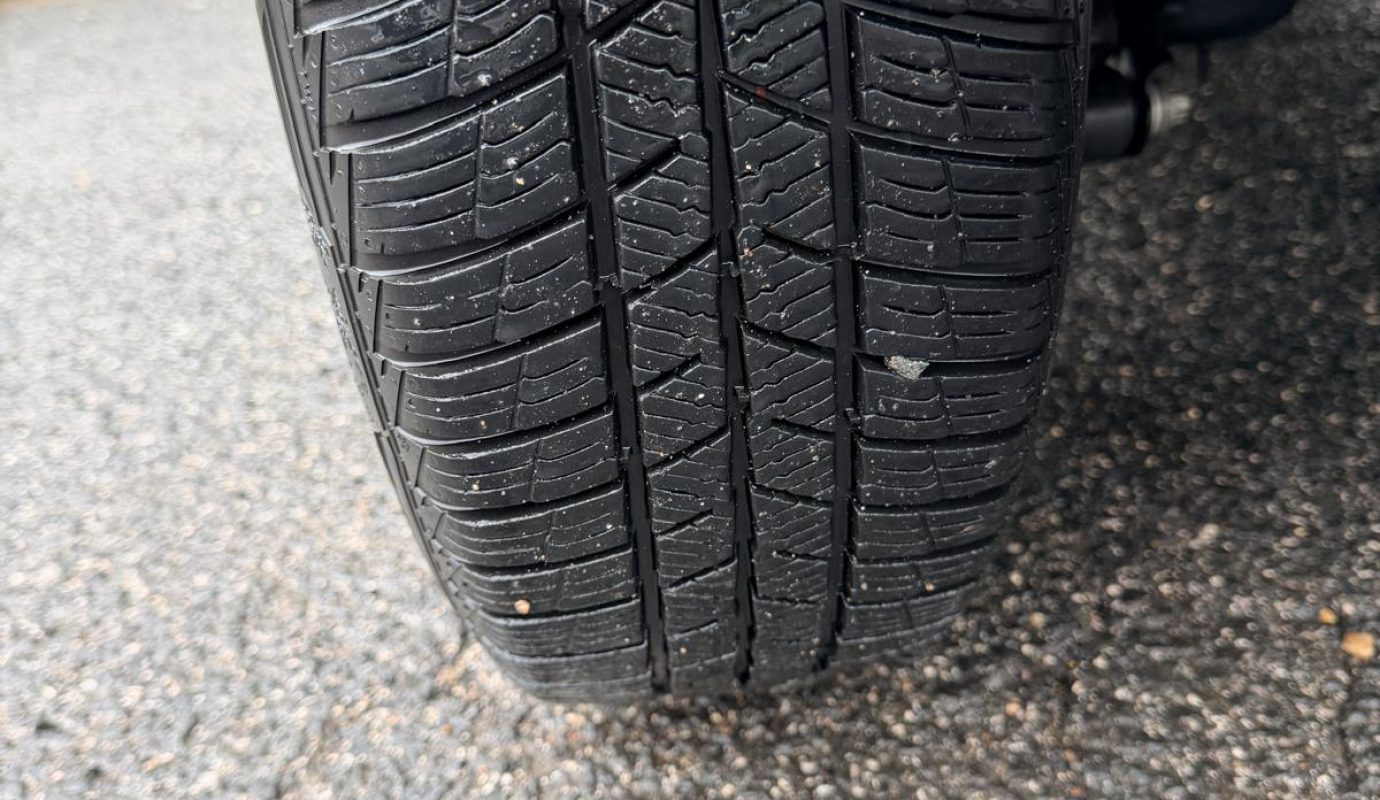 2020 Panda Ibrida Cross